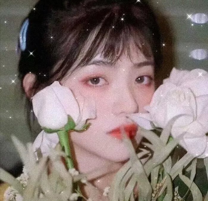 风尘三荡女
